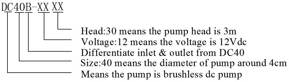 DC40B Submersible Dc Pump Series Mode note