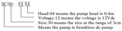 DC30 BLDC Pump Series Mode note
